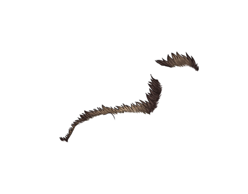 FDEF.png