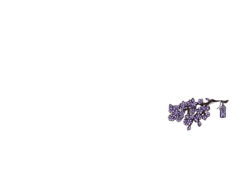 FS.png