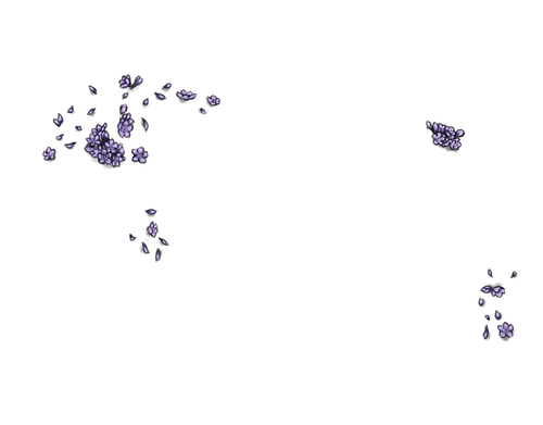 AM.png