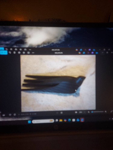 3d109c7aade8.jpg
