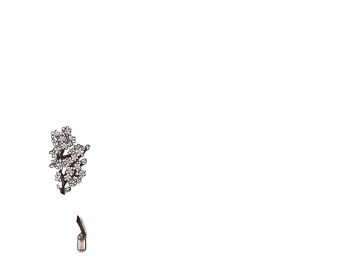 FJ.png