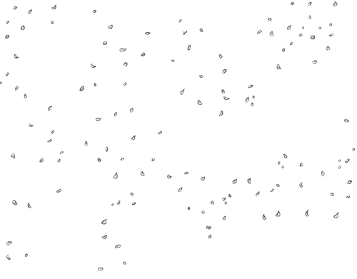 WHITE.png