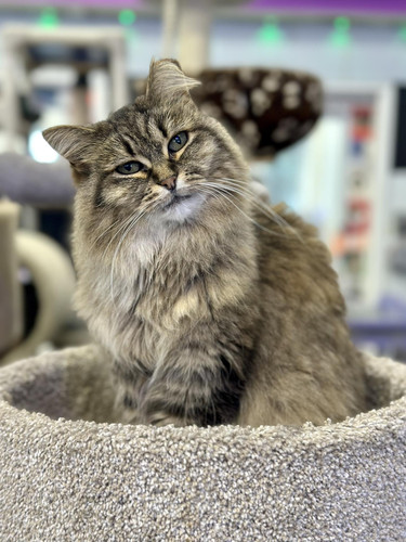 621171797 1379072247594644 3262084848125343496 n.jpg