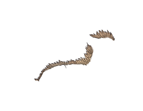 FDEF.png