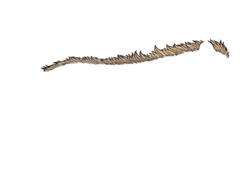 FN.png