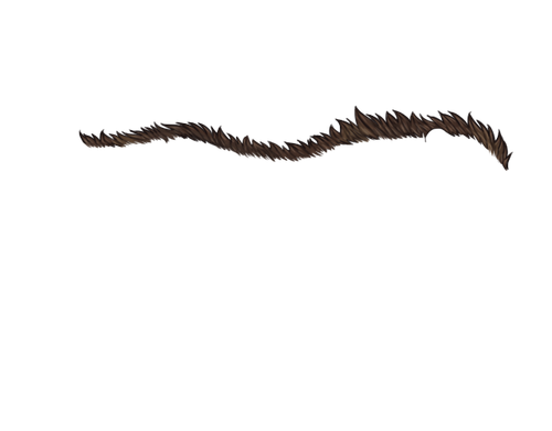 FS.png