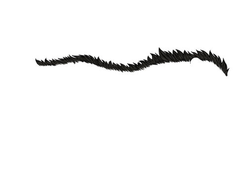 FS.png