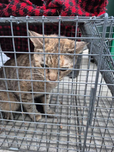 G Y3c3 XoAA6bL4?format=jpg.jpg