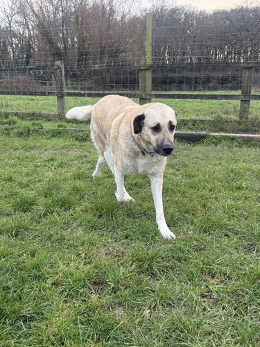 G XDTQUWIAEttGT?format=jpg.jpg