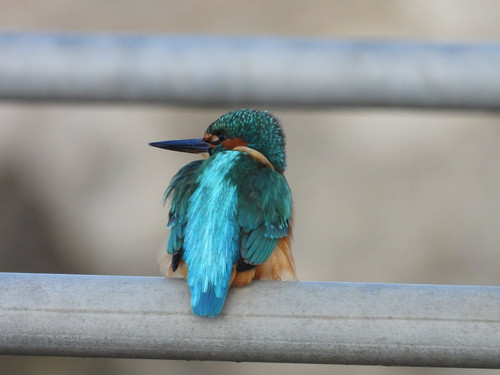 G bSe VXgAA3VtC?format=jpg.jpg