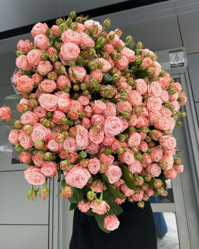 G bPz XQAEoYyj?format=jpg.jpg