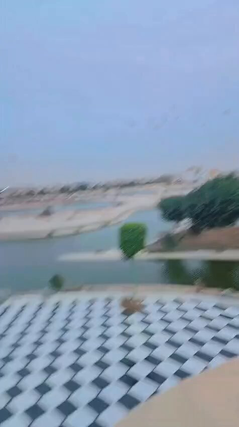 ByieC3Xu9ivSqqlr.jpg