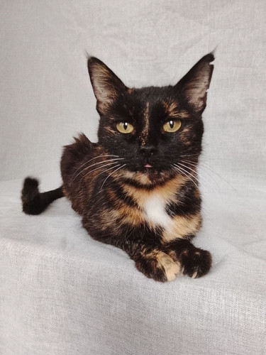 G Wnq9iW8AE hpD?format=jpg.jpg