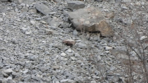 HjXiRlfhJNNki Lm.jpg