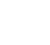 logo borovskoe.png