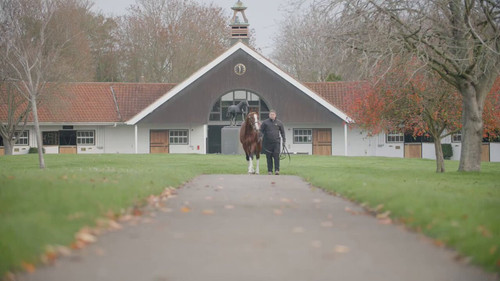 UL dRniTFzowAcwz.jpg