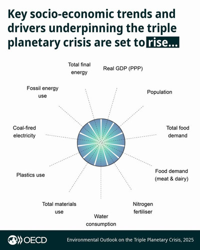vuS3x5tkW 9qazF1.jpg