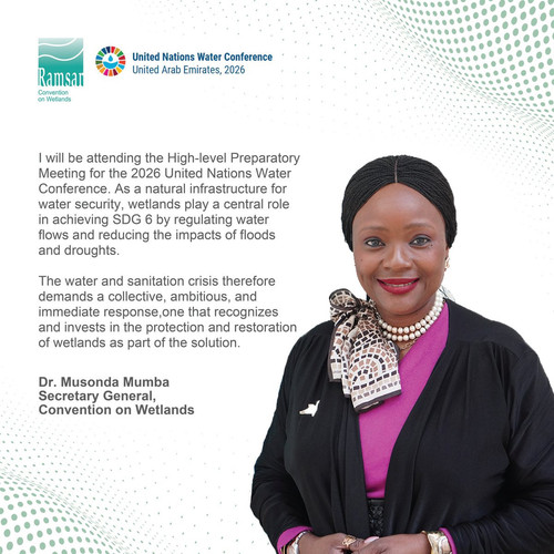 G W6NnwWkAAxbP0?format=jpg.jpg