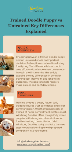 Trained Doodle Puppy vs Untrained Key Differences Explained.png