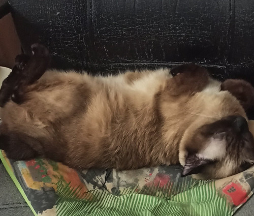 G TGk1cWEAApnoG?format=jpg.jpg