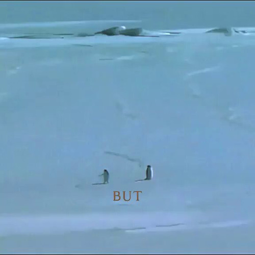 KlXm1D3TwnocppGt.jpg