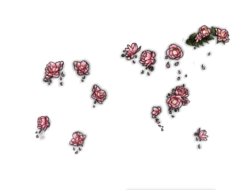 Peonies Mngwa fem.png