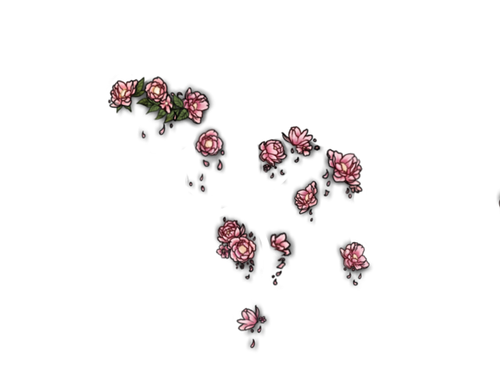 Peonies Mngwa adol.png
