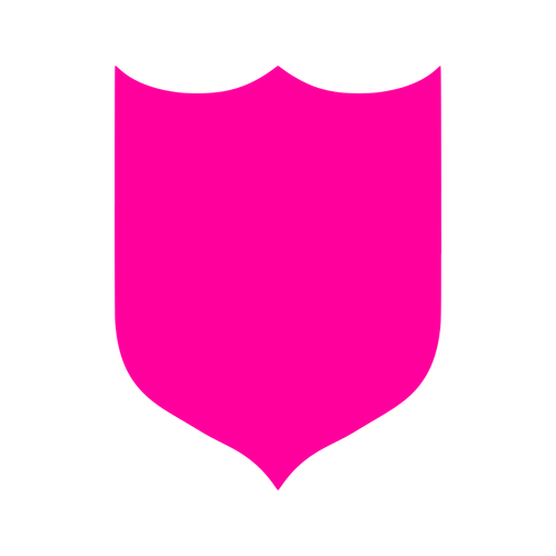 flag 20260124.082845.png