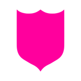 flag 20260124.082845