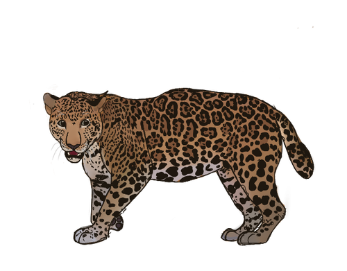 customdecors agespecific 2 0.png