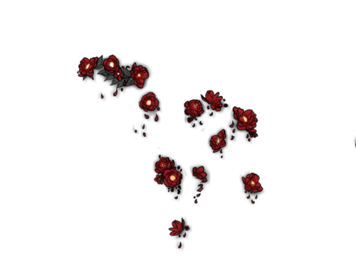 Peonies Mngwa adol.png