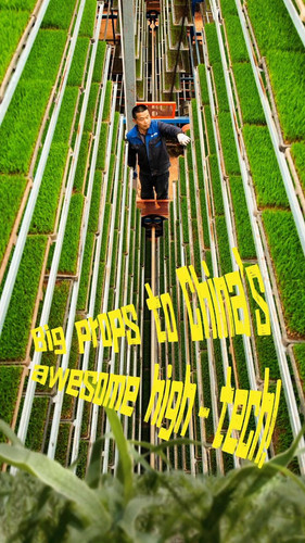 tGZ82sDI GjiIchc.jpg