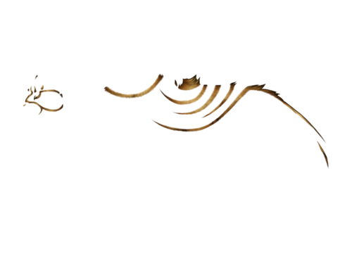 1000046517.png