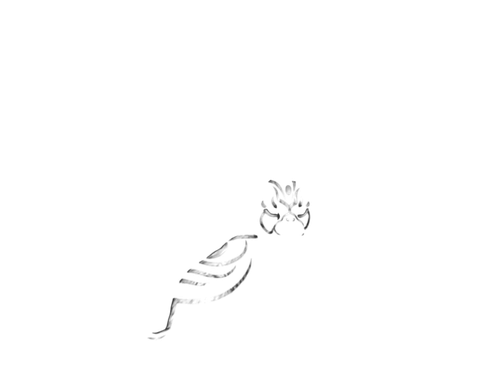 1000045579.png