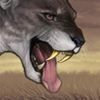IMG 2493.png