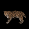 customdecors agespecific 2 0.png