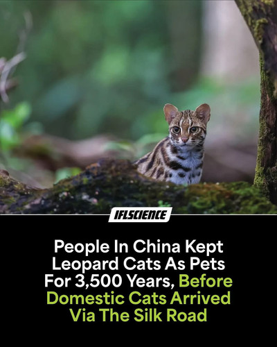 1000041259.jpg
