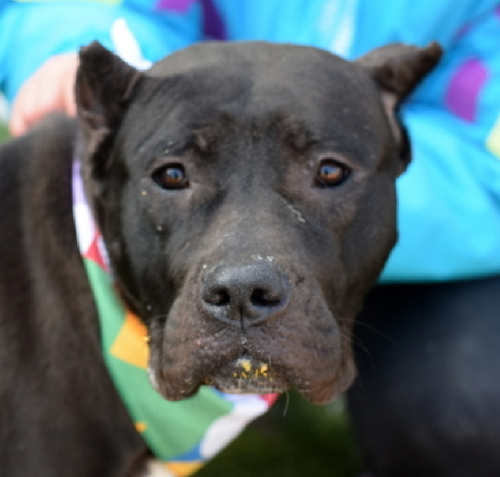 G t20Z8aoAAlbvT?format=png.png