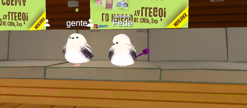 imagen.png
