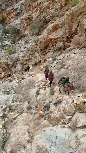 gl0hDlIiTxaV 6Ui.jpg