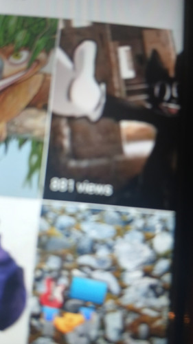 temp 1769295161934.jpg