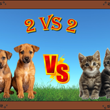 2vs2