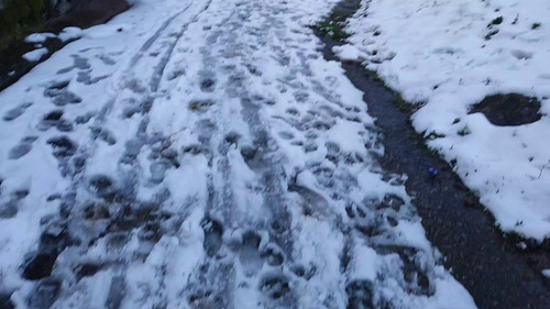 LpwOoG 4BwXsG eb.jpg