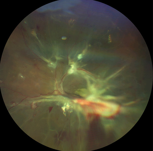 G u4LsraEAAkgtO?format=jpg.jpg