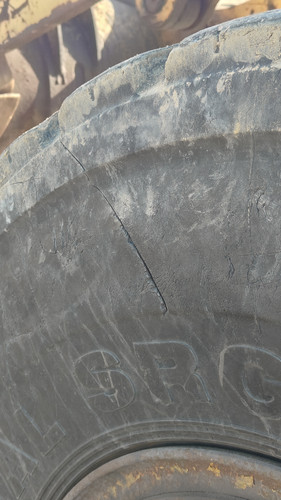 IMG20260125094131.jpg