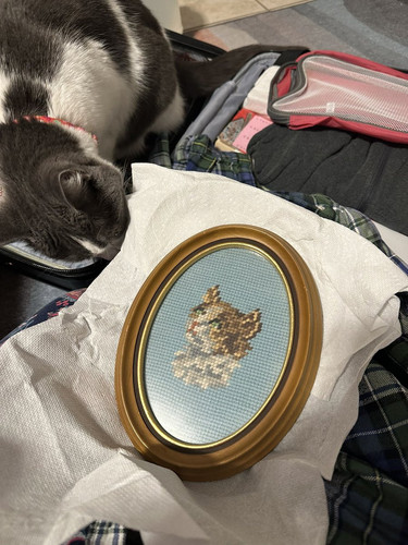 G cISCJbQAAi6iG?format=jpg.jpg