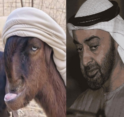 G gL pwWUAAnvm7.jpg