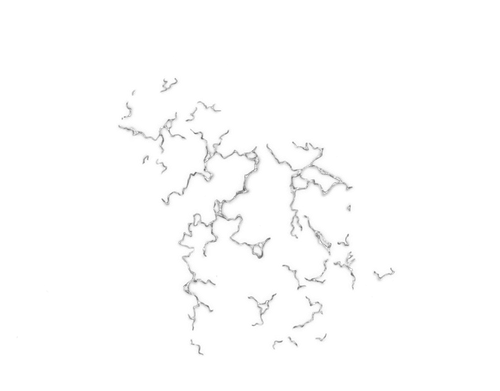 IMG 3834.png