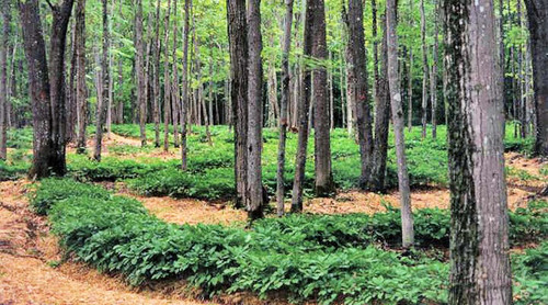 G gKfOyXIAAorcn.jpg