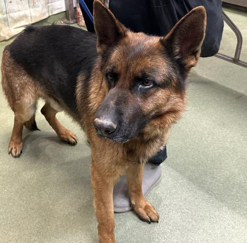 G YIIOHX0AEGX6R?format=jpg.jpg